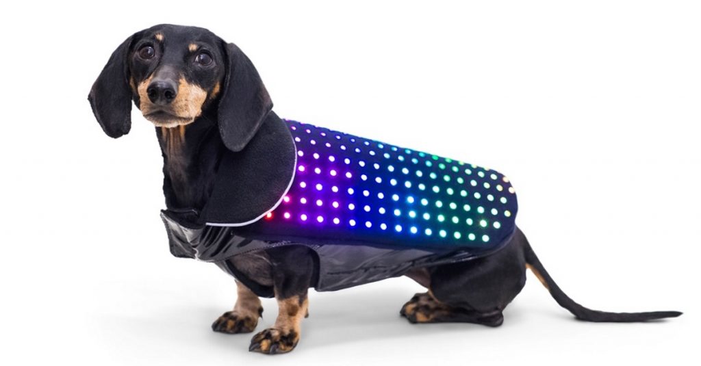 Disco Dog: Fernsteuerbare LED-Hundeweste lässt Vierbeiner leuchten