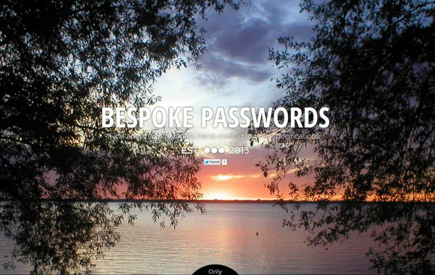 Bespoke Passwords