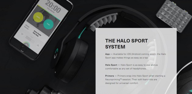 halo_system