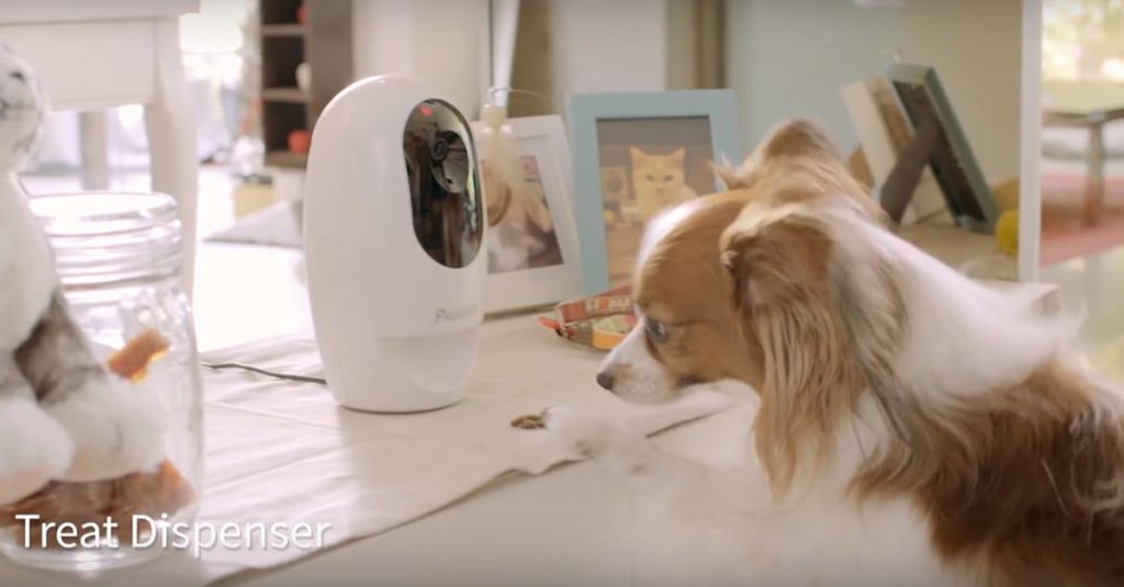 IFA 2016: Acer kommt auf Hund und Katze mit Pawbo+