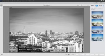 Adobe Photoshop Elements 2020 ; Schwarzweißbild