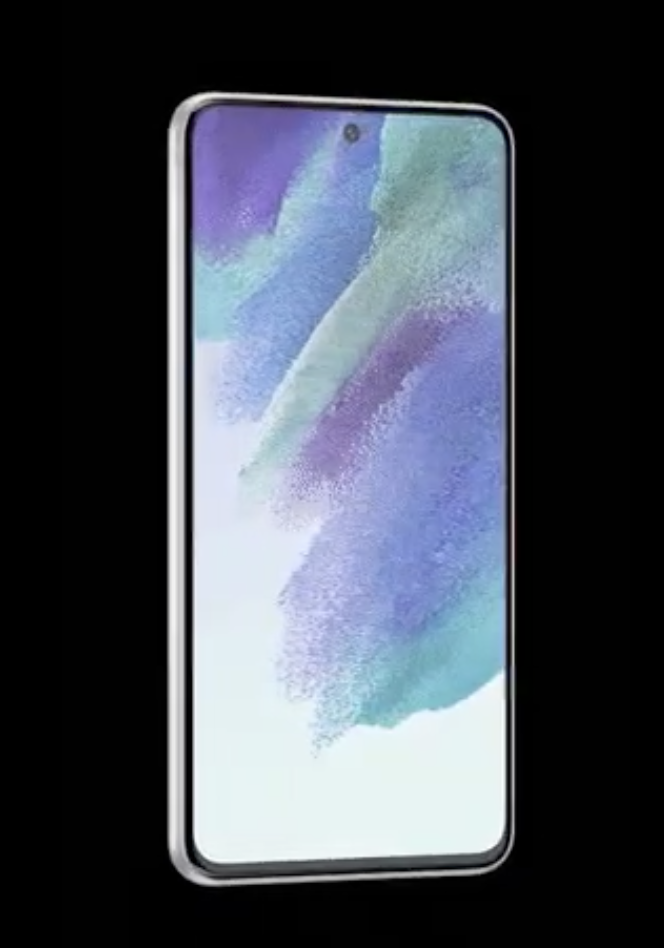 Samsung Galaxy S21FE Display
