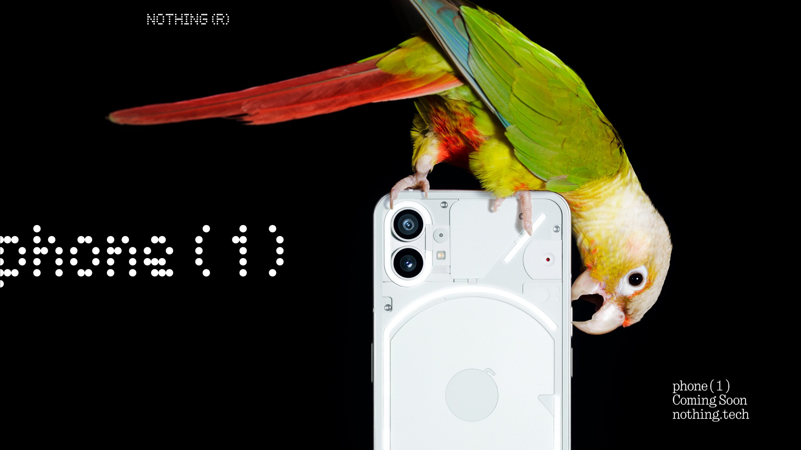 Nothing phone (1): Überraschend auf einer Kunstmesse zu sehen
