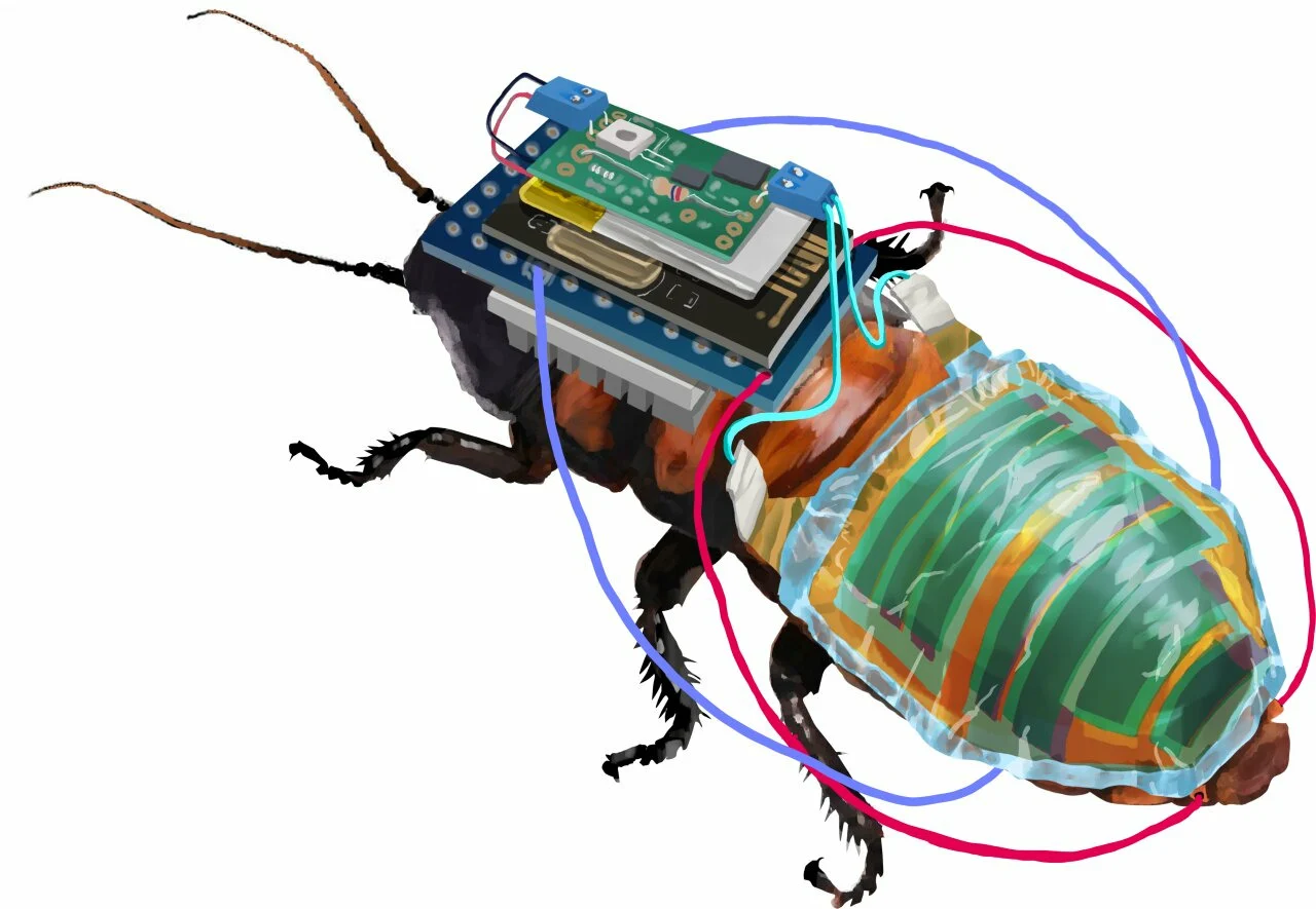 Verrückt: Steuerbare und wiederaufladbare Cyborg-Kakerlake