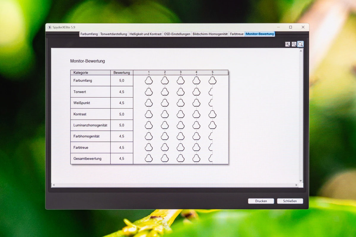 Ergebnisse der Panel-Analyse mit SpyderXElite