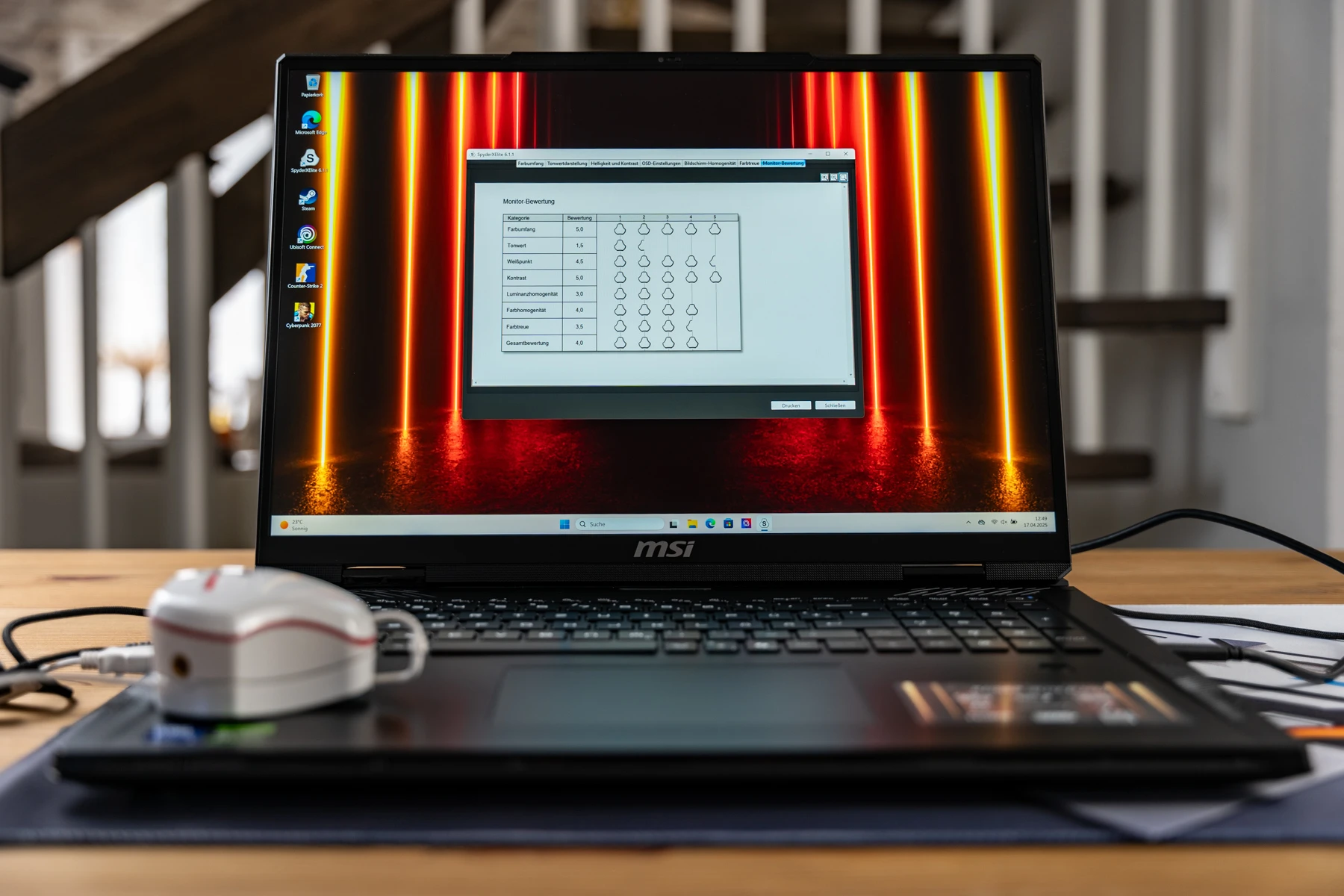 MSI Raider 18 HX Display-Messung